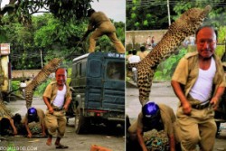  That leopard scared me so much I ran right out of my flip-flops 